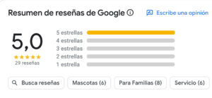 COMENTARIOGOOGLE